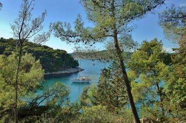 Apartments Cvetkovic