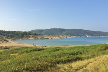 Apartments Cvetkovic